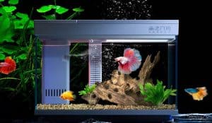 acuario inteligente xiaomi