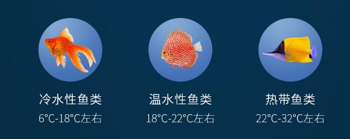 peces xiaomi