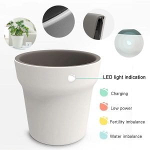 xiaomi youpin smart vase hhcc flora monitor price 2
