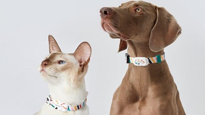 collar inteligente para mascotas de Xiaomi