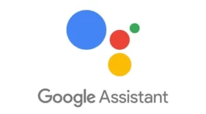 Asistente-de-Google