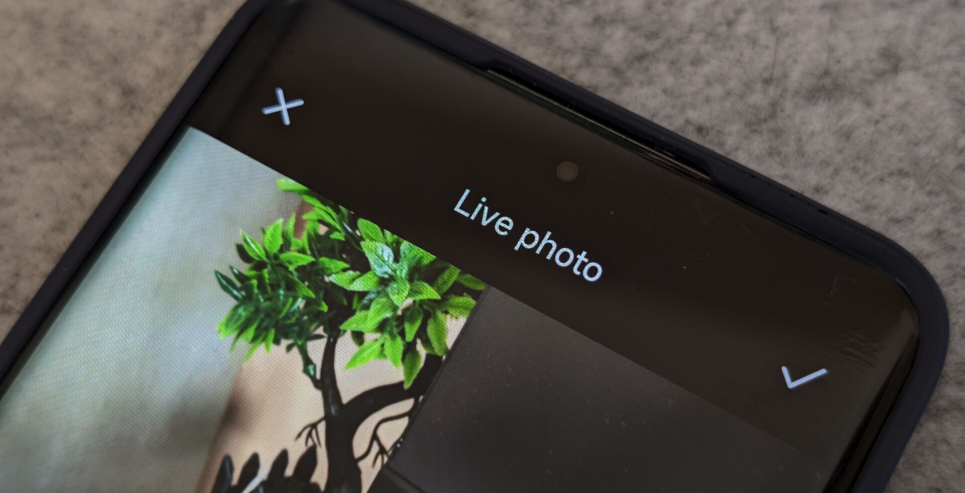 Xiaomi Photo en vivo 2