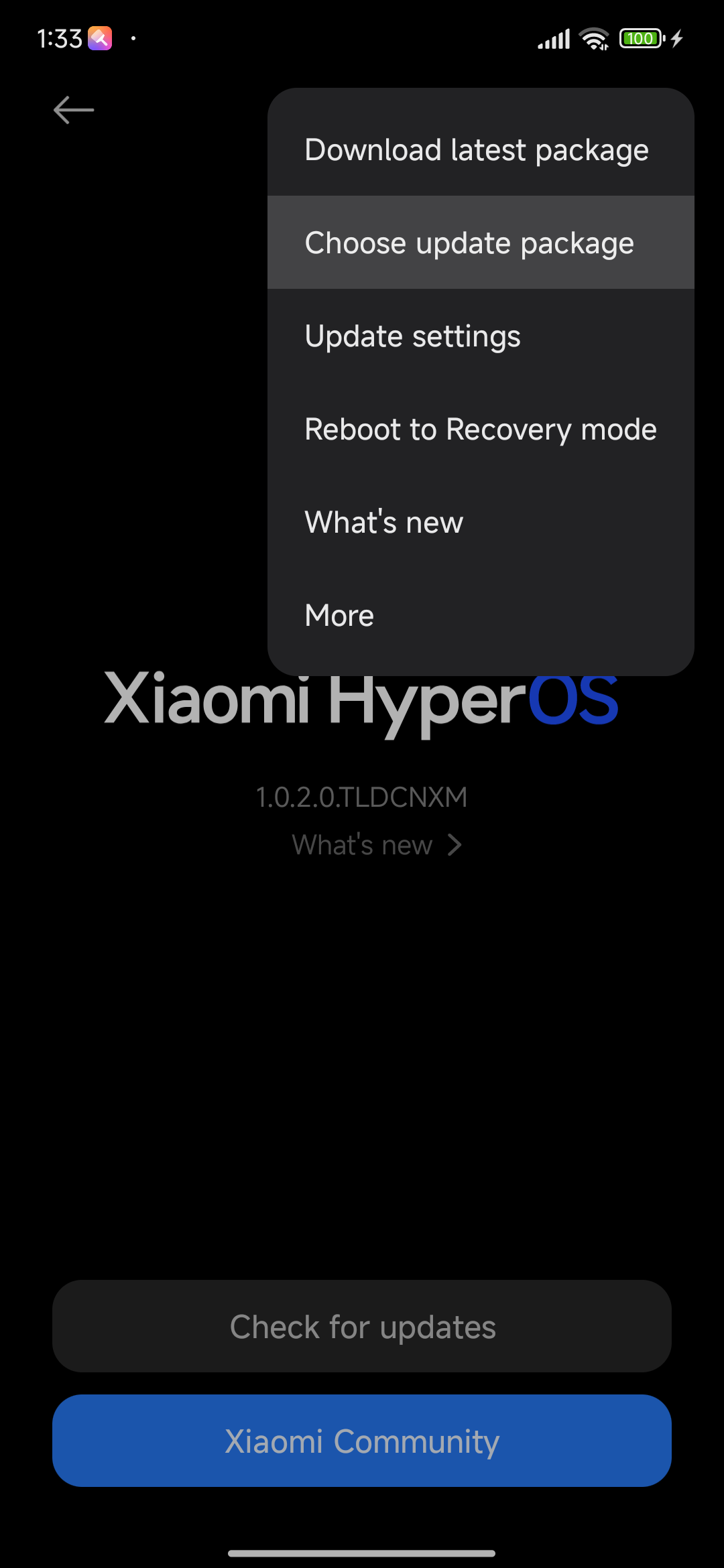 Cómo instalar Xiaomi HyperOS 3 actualizaciones anticipadas con el truco de cambio de nombre 11 HyperOS Actualización manual 4