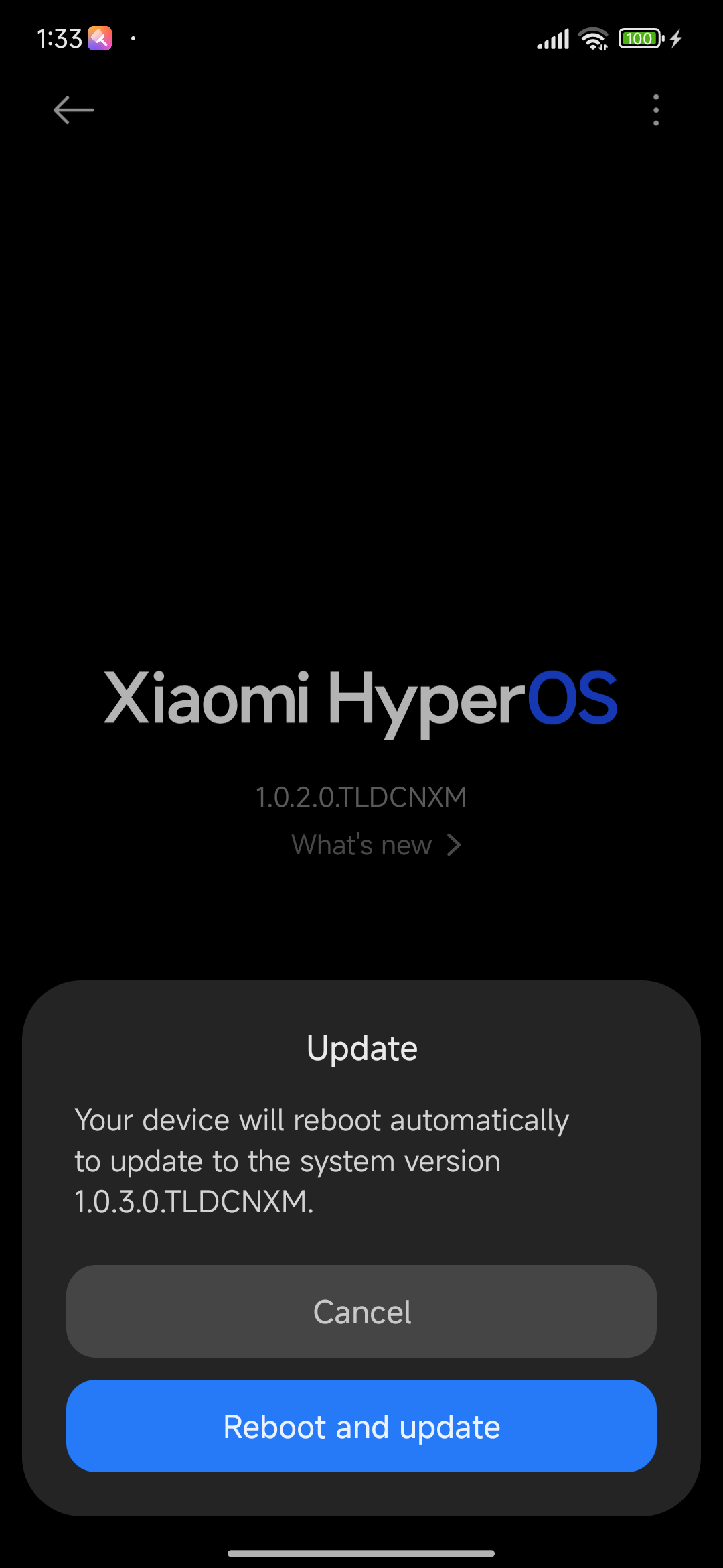Cómo instalar Xiaomi HyperOS 3 actualizaciones anticipadas con el truco de cambio de nombre 12 HyperOS Actualización manual 1