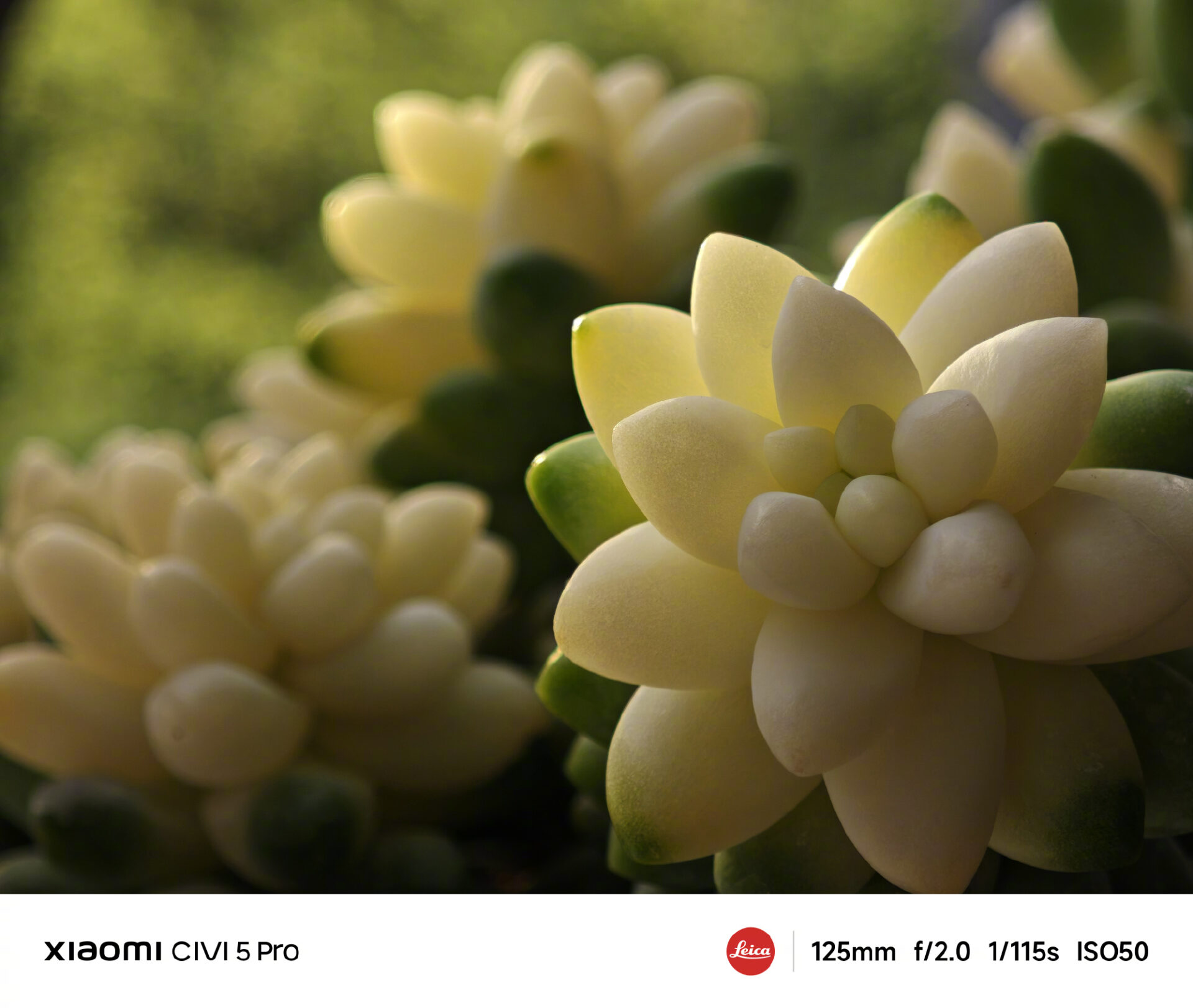 Xiaomi Civi 5 Pro'S 50 MP muestras de cámara delantera y trasera aquí 6 002p2zyzly1i1h6d3h1epj635s2o7u0y02