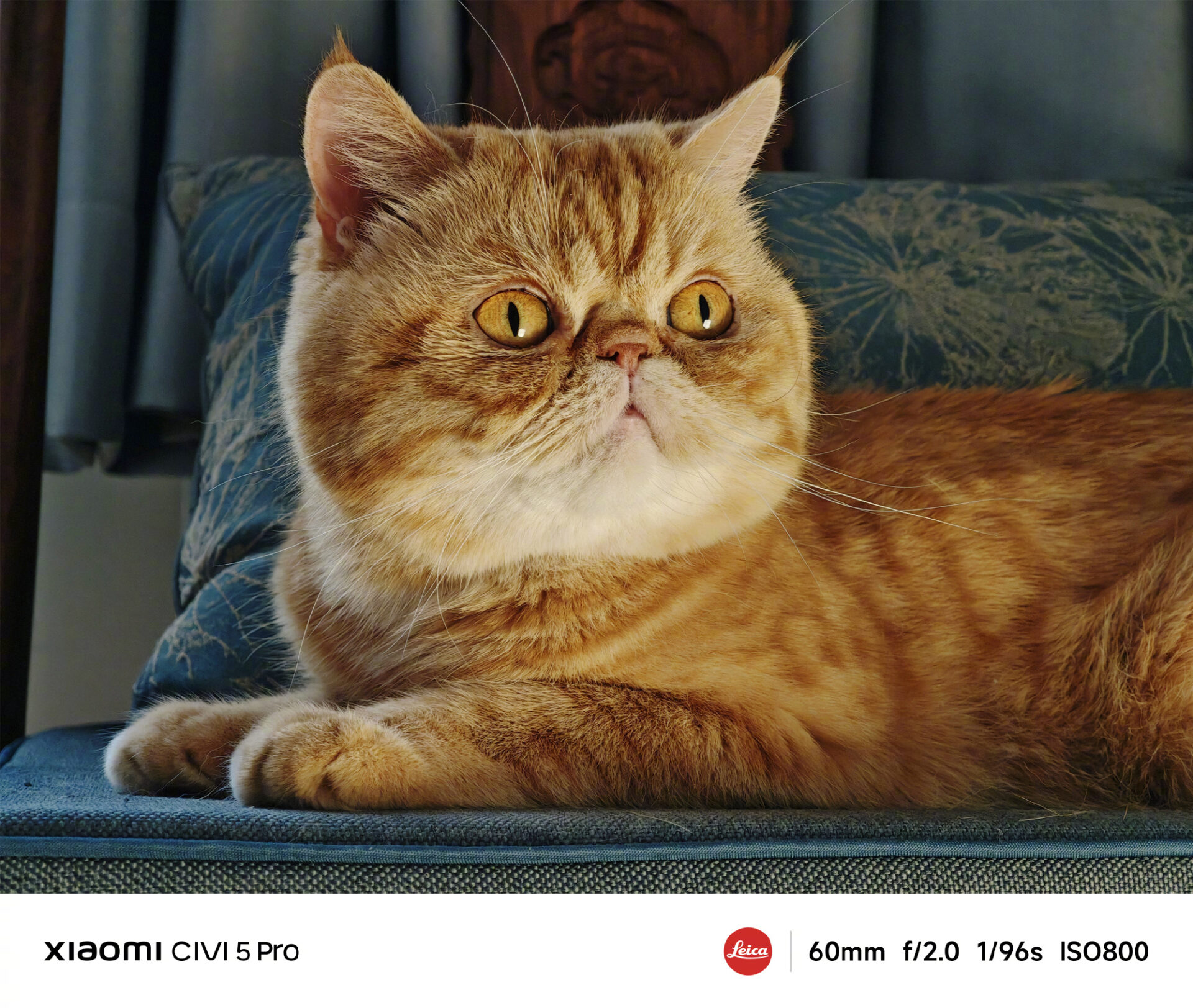 Xiaomi CIVI 5 Pro's 50MP front and rear camera samples here 9
