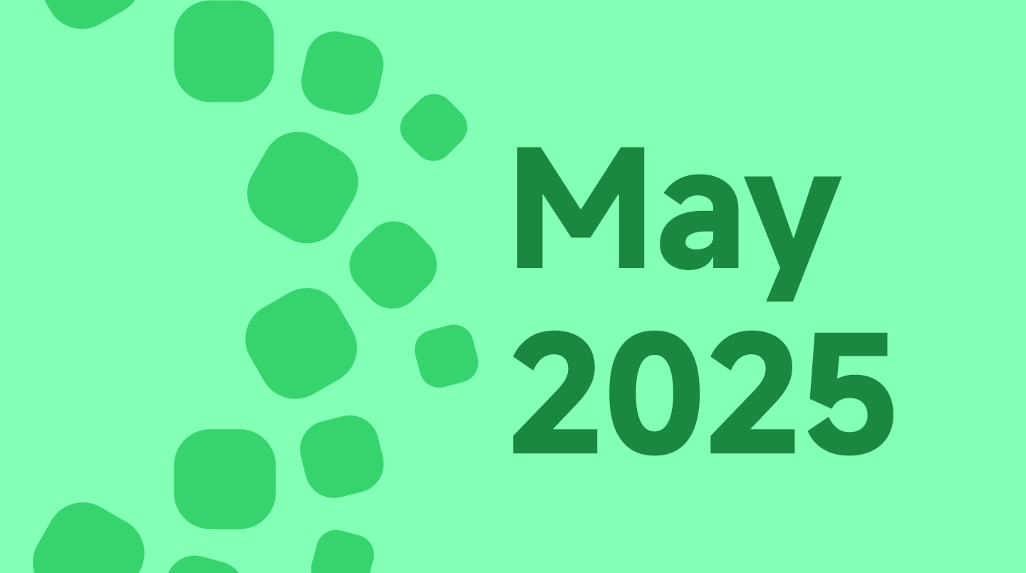 Mayo de 2025 1
